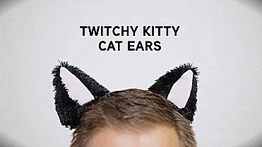 Electronic Moving Cat Ears