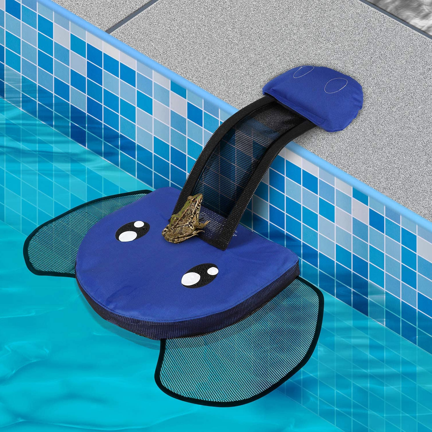 Elephant Shaped Pool Ramp Helps Frogs, Mice, and Other Critters Out Of ...