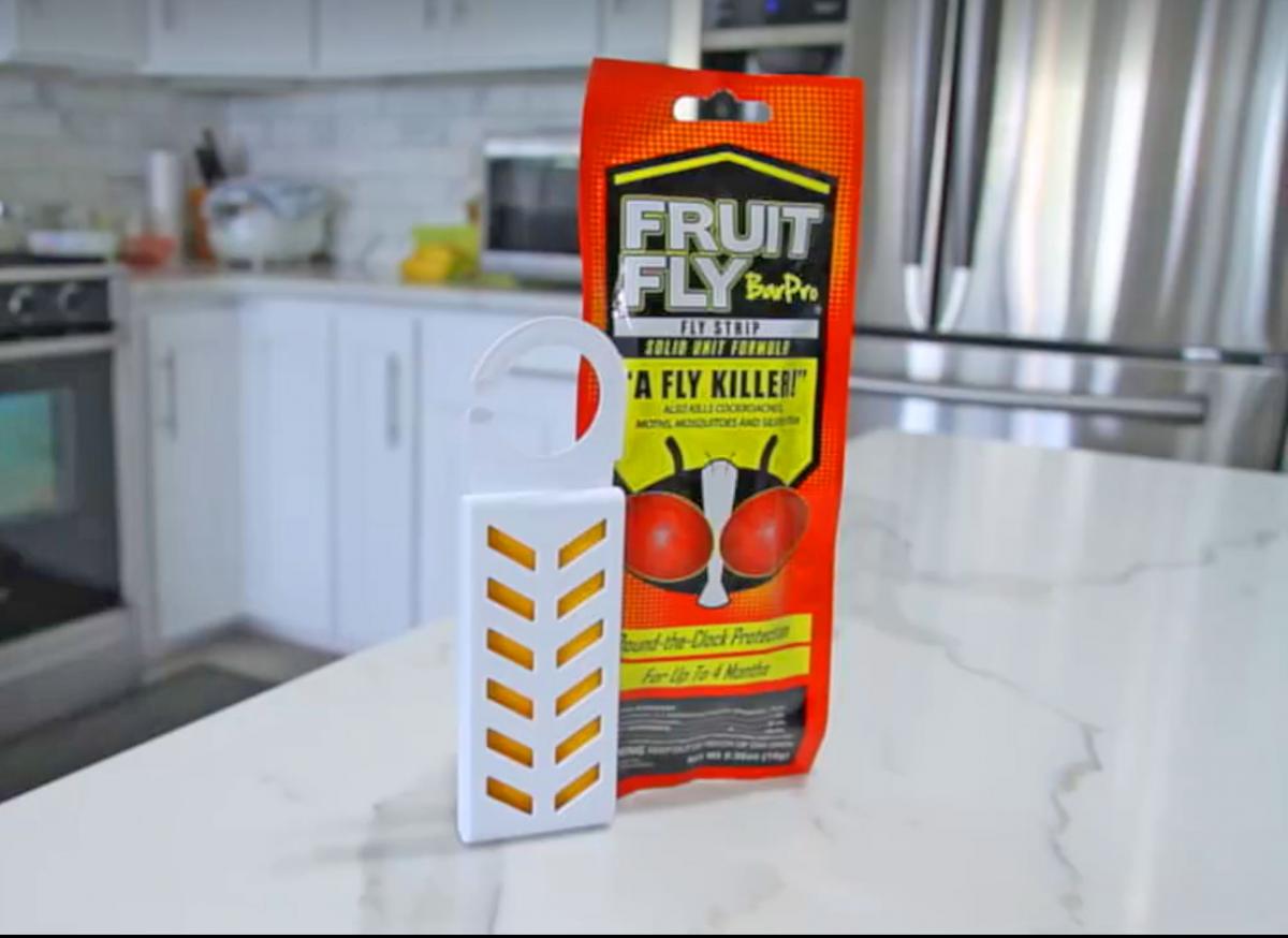 Fruit Fly Bar Pro  ClemTech Pest Control