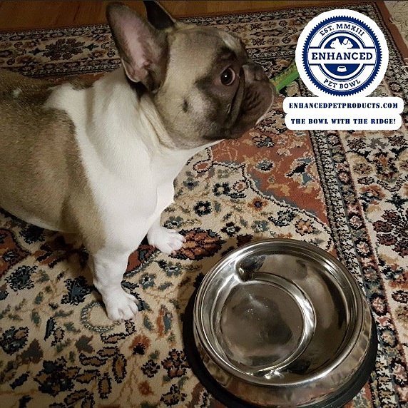 Enhanced Pet Bowl: Slanted Dog Bowl With Ridge Helps Flat Faced Dog Breeds Feed - Best french bulldog dog bowl