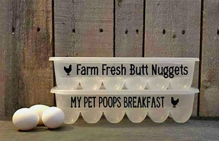 Funny Plastic Chicken Egg Cartons - Reusable joke chicken coop egg cartons - Farm Fresh Butt Nuggets