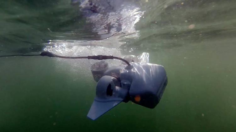 Fathom One - Underwater Drone - Sea Drone Connects To Your Smartphone or Tablet - Live view underwater drone