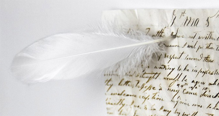 Feather Magnets - Magic Magnetic Feathers - Feather with magnetic tip