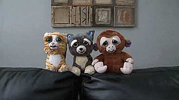 Feisty Pets - Squeeze head to turn from cute to angry - Pissed off stuffed animals