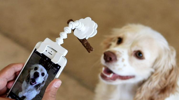 Flexy Paw - Smart Phone Camera Treat Holder - Smart Phone Treat Holder For Dog Pictures - Dog Selfies