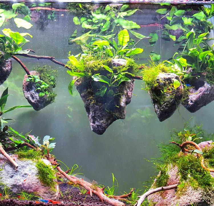 Floating Aquarium Islands - Floating Fish Tank Rocks - Avatar Islands For Aquarium