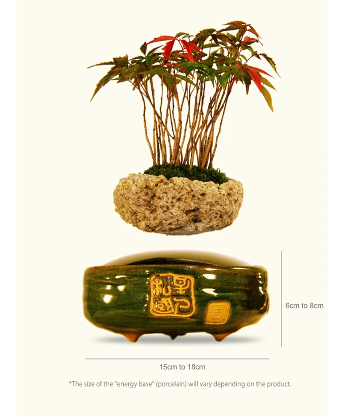 Air Bonsai - Magnetic Floating Bonsai Tree