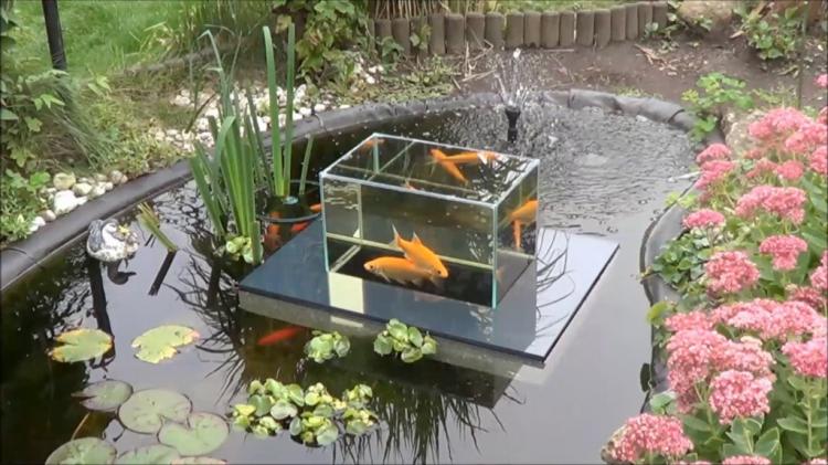 Jet Veroveraar paniek This Floating Fish Aquarium Lets You View Your Fish Above The Water Line