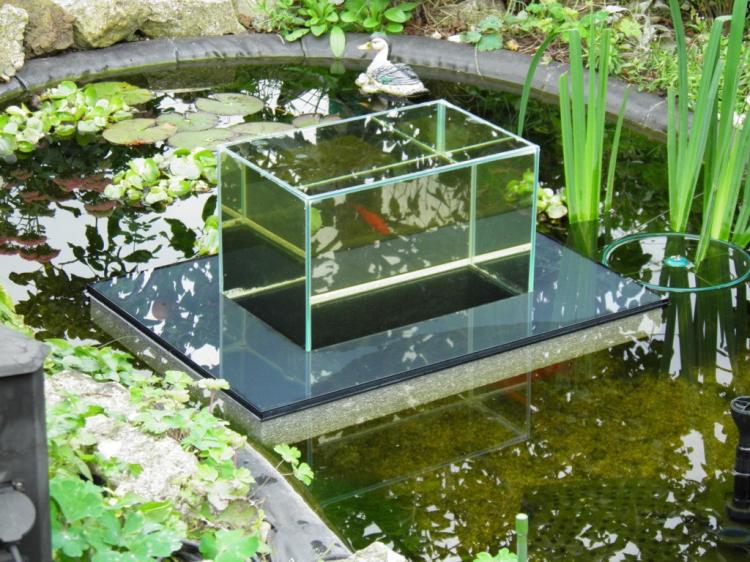 Floating Fish Koi Pond Observatory Lets You View Your Fish 