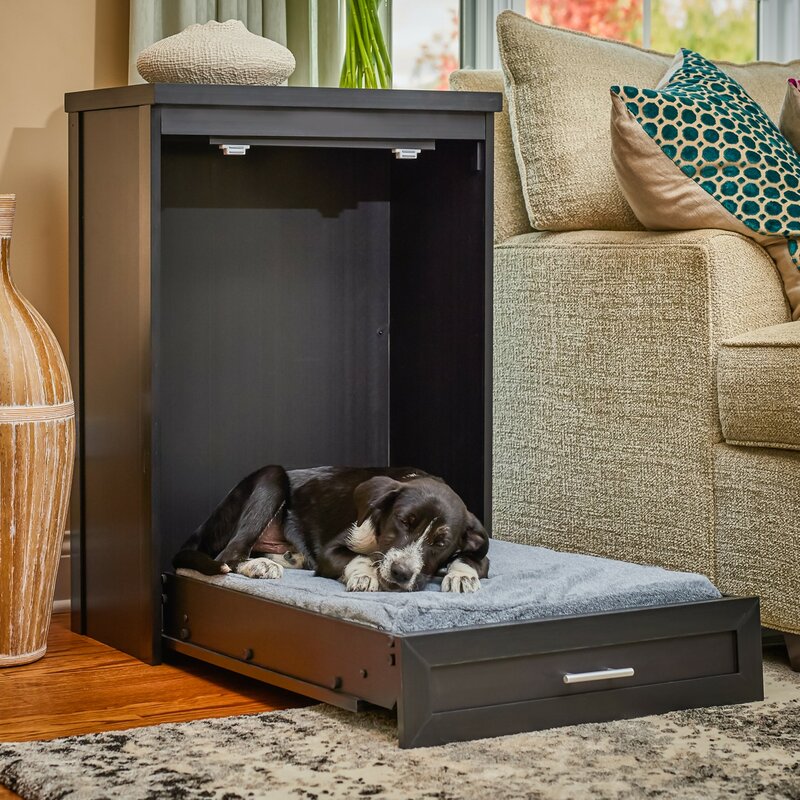 dog bed in cabinet