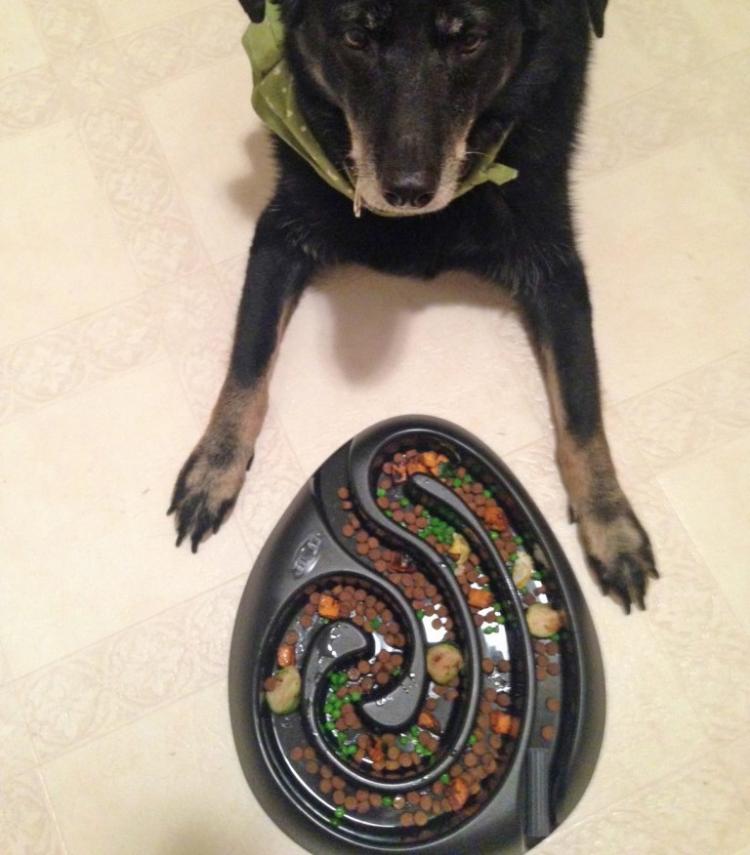 Buster Maze Shaped Dog Food Bowl Puzzle