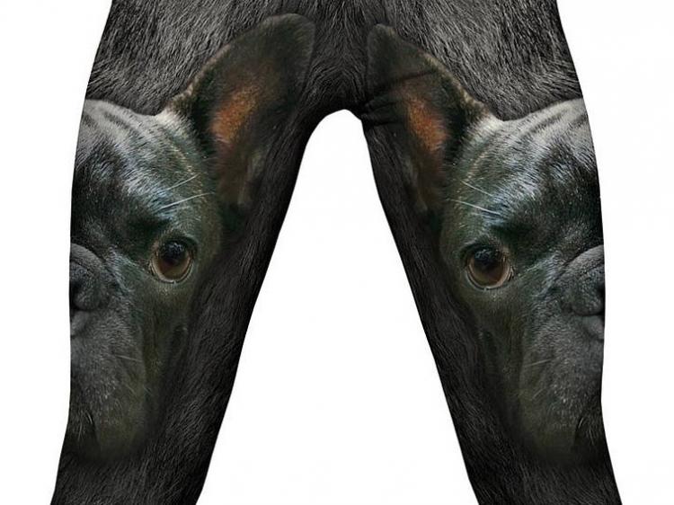 French Bulldog Leggings / Yoga Pants
