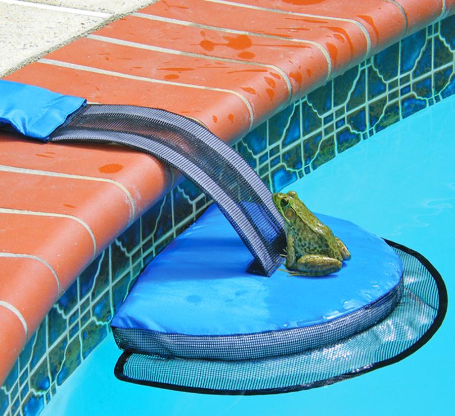 Mini Pool Ramp Helps Frogs and Other Small Critters Out Of Your Pool