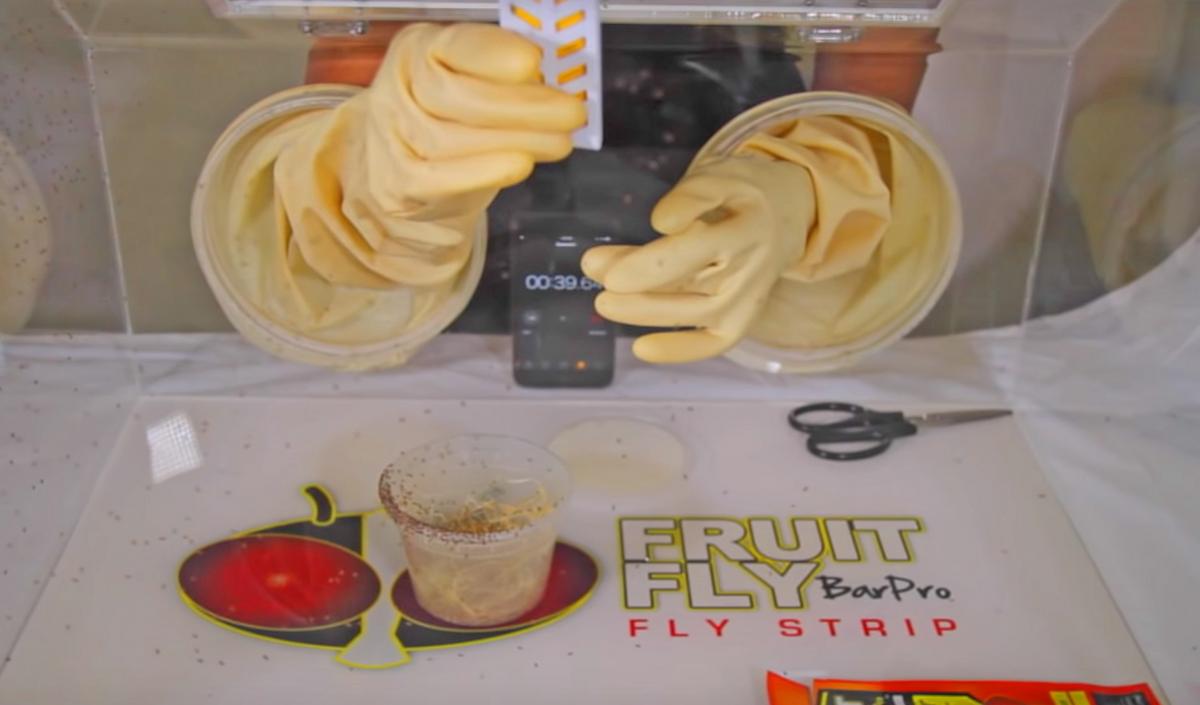 Fruit Fly BarPro - Genius Fruit Fly Killing Gadget