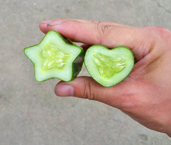 square watermelon mold