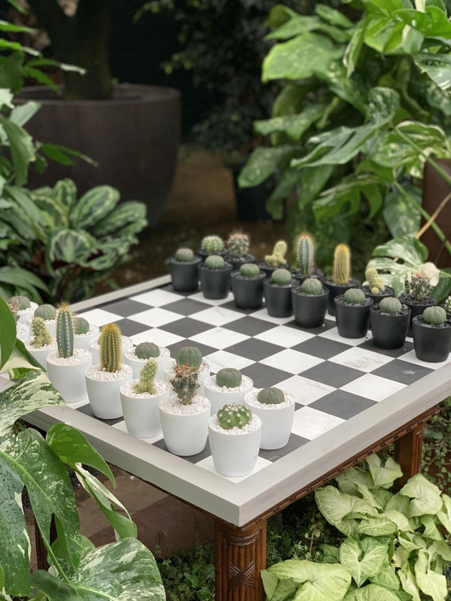 garden chess set micro planters chess pieces 869