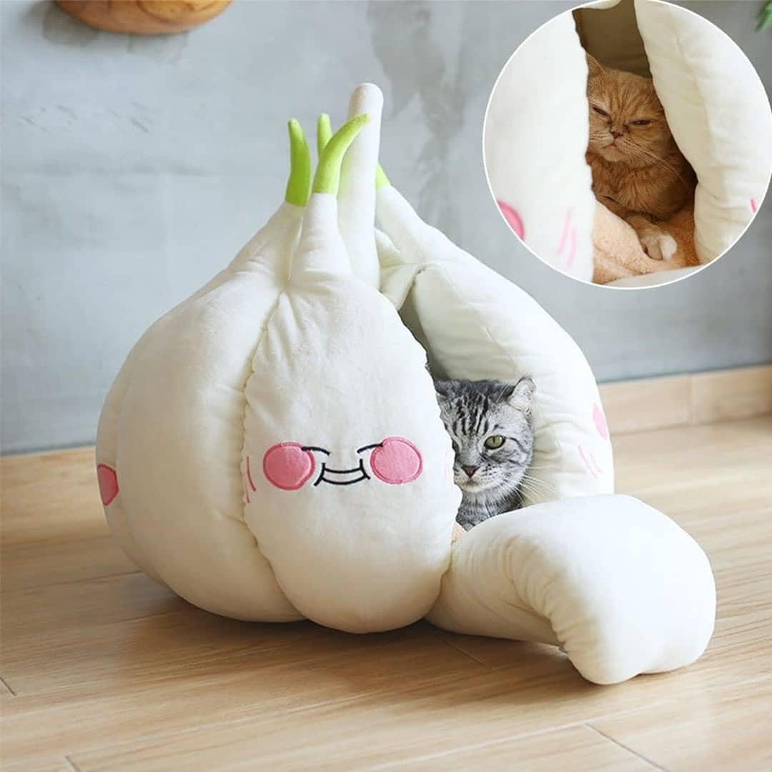 Garlic Pet Bed - Garlic bulb shaped cat bed