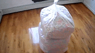 Giant Bag Of Lucky Charms Marshmallows (40 lbs)