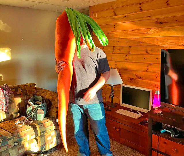 Carrot Body Pillow Giant Weird Plush Vegetable Coziness 