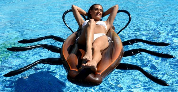 Giant Cockroach Pool Float - Cockroach inflatable lake float