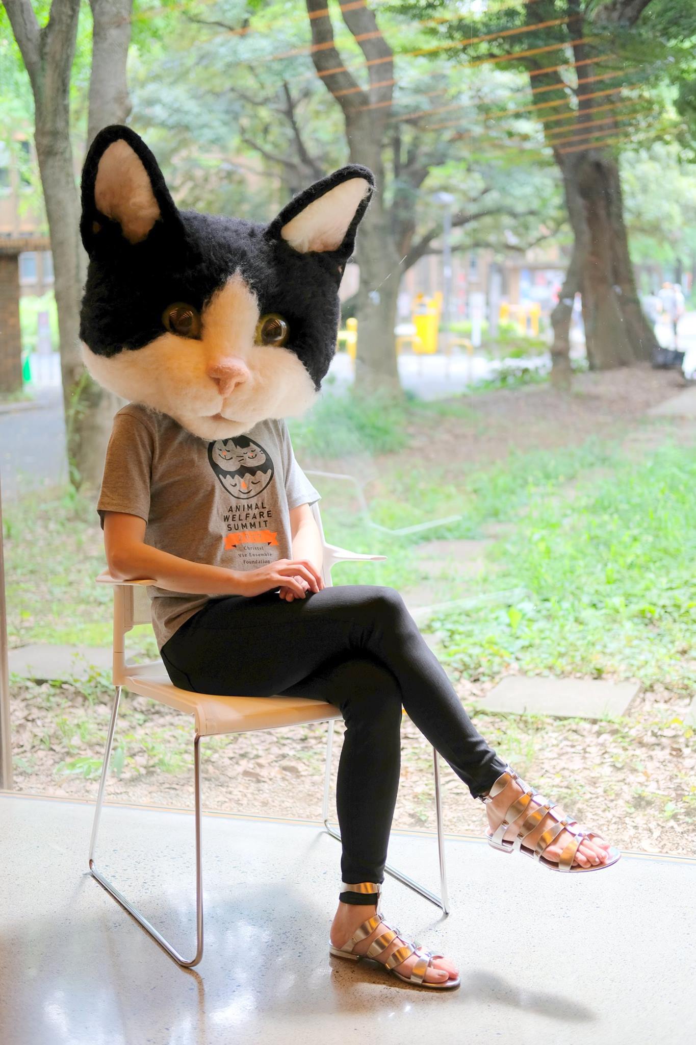 i-need-one-of-these-giant-super-realistic-cat-head-masks-in-my-life