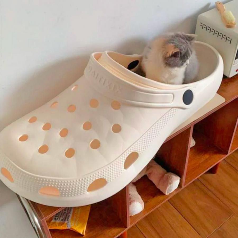 Giant Croc Shoe Pet Bed | Pet Furniture | One Meter Long Shoe | Luxury Dog  Shoes | Gift For Mom | Best Dog Beds | Catte Macchicato