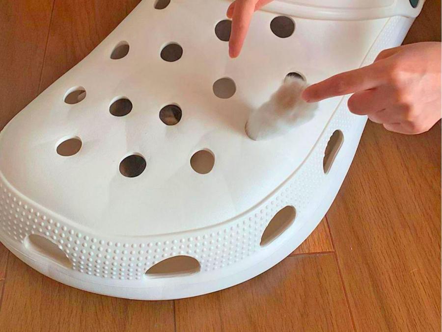 These Giant Croc Shoes Can Function as a Baby Bassinet Or Pet Bed