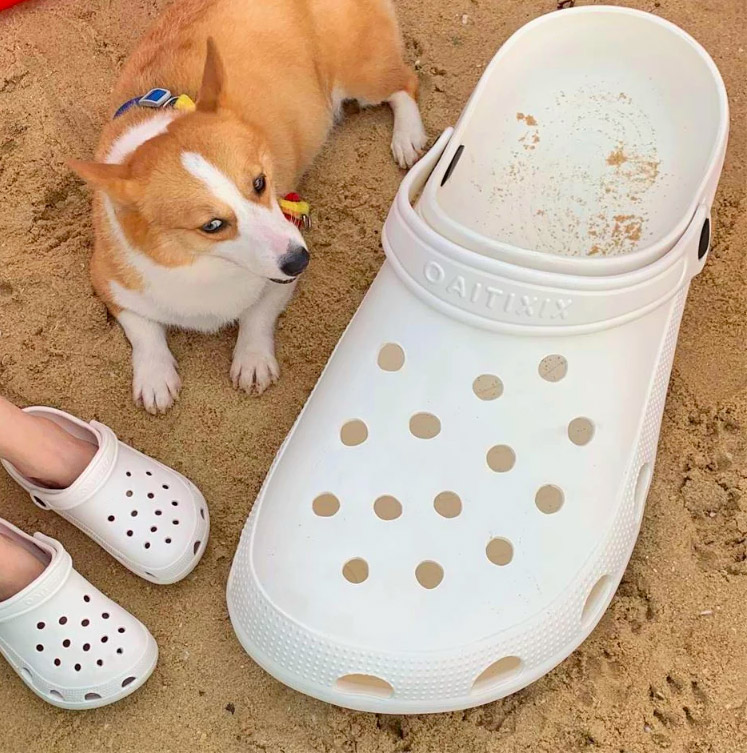 Croc shaped pet outlet bed