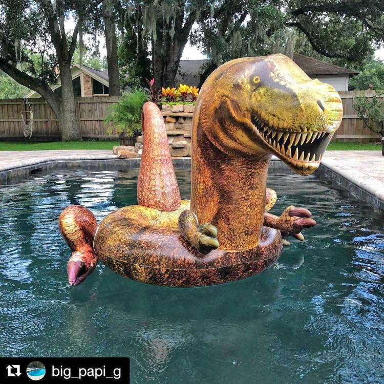 inflatable dinosaur pool toy