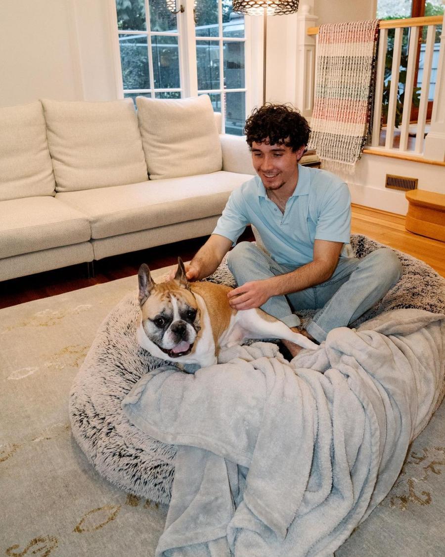 https://odditymall.com/includes/content/upload/giant-dog-bed-for-humans-6389.jpg