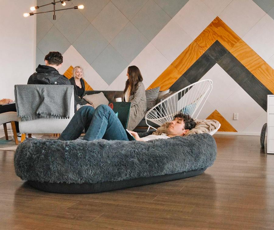 Plufl Giant Dog Bed For Humans