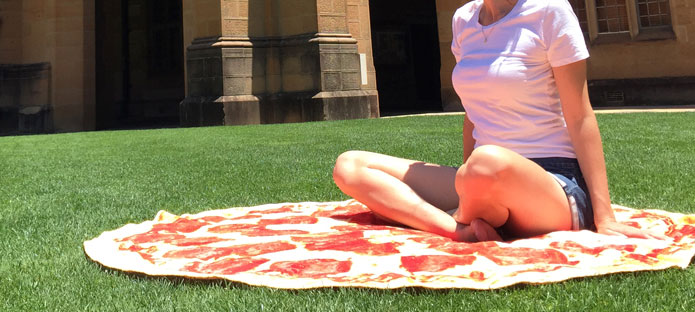 Pizza Towel