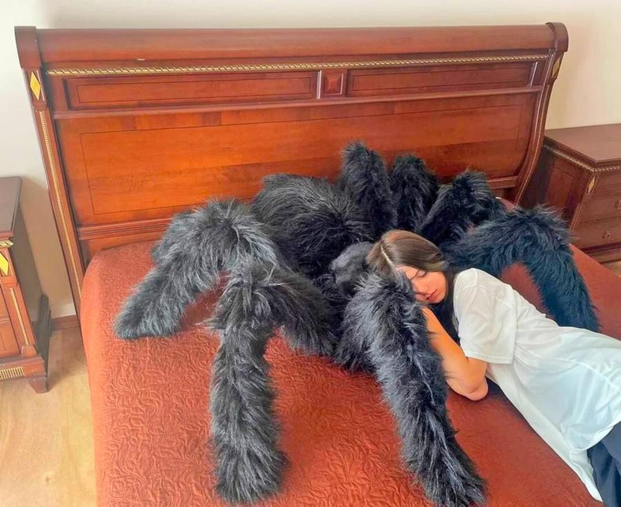 Giant Tarantula Spider Pillow