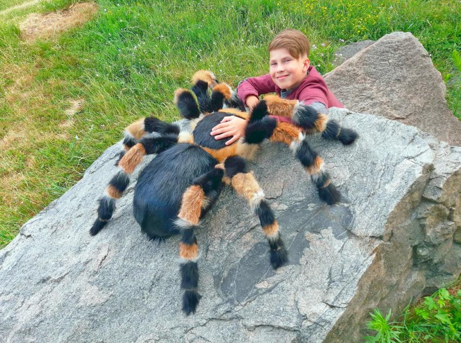 Giant Tarantula Spider Pillow