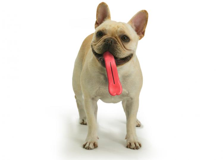 Giant Tongue Dog Toy - Humunga Tongue Chew Toy Gives Your Dog a Giant Tongue