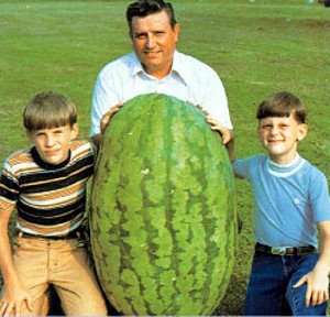 Giant Watermelon Seeds (10-Pack)