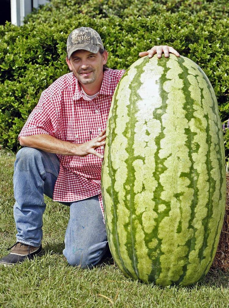 giant-watermelon-seeds-8682.jpg