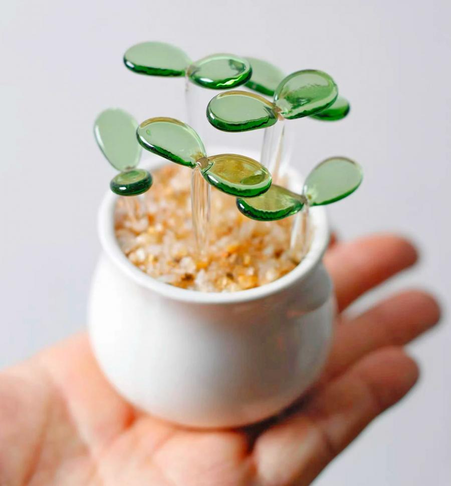 Glass Potted Plants - Tiny glass succulents