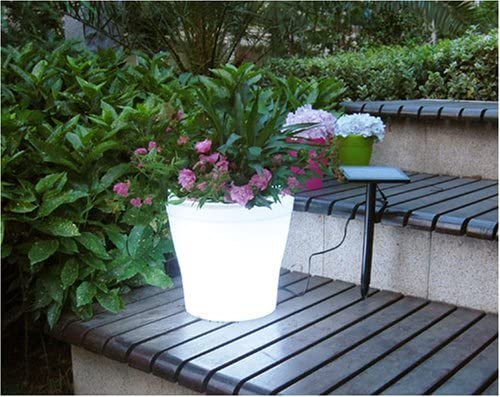 These Glow In the Dark Illuminated Planters Will Make Your