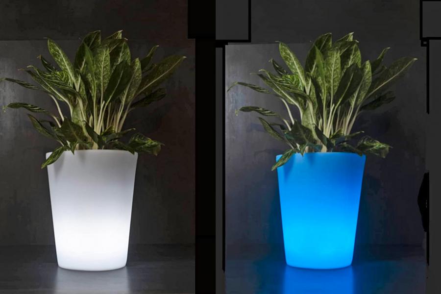 These Glow In the Dark Illuminated Planters Will Make Your