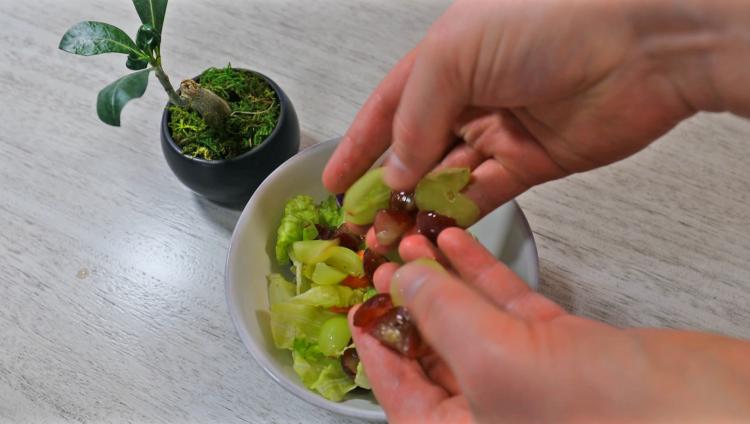 Grape Slicer Easily Cuts Grapes Into 4 Even Slices