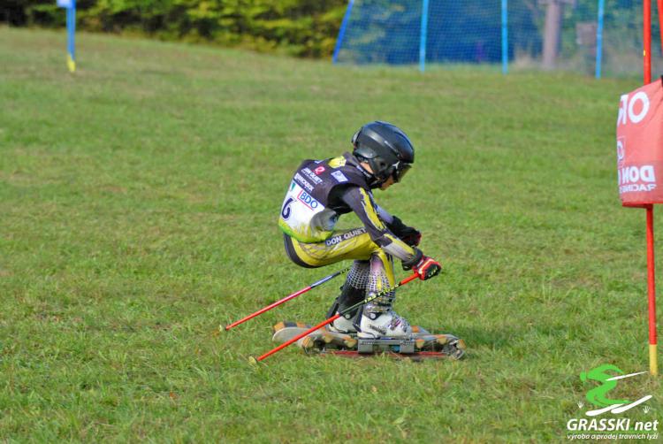 Grass Skis Let You Downhill Ski In The Summer