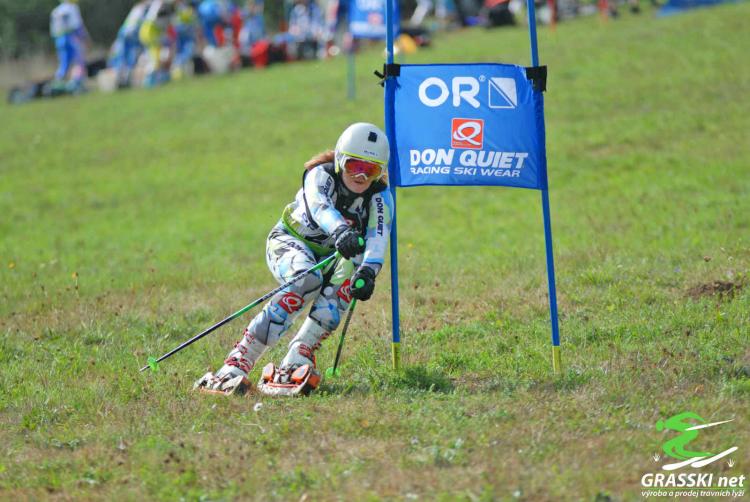 Grass Skis Let You Downhill Ski In The Summer