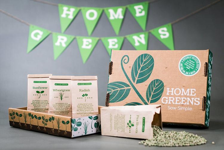 Simply Good Box By Home Greens - Home Gardening Kit