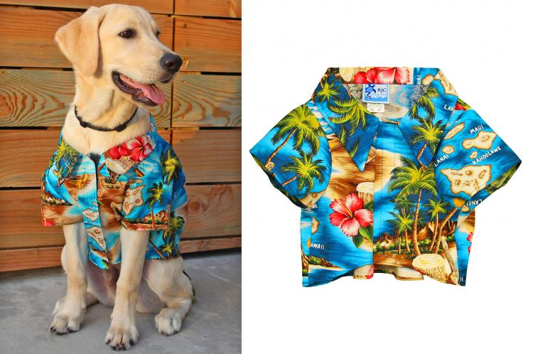 Rottweiler Dog Lovers Blue Feather Hawaii Trendy Hawaiian Shirt - Trendy  Aloha