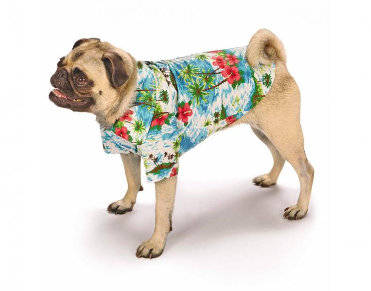 Hawaiian Dog Shirts - Matching human and dog Hawaiian shirts - Aloha dog party shirts