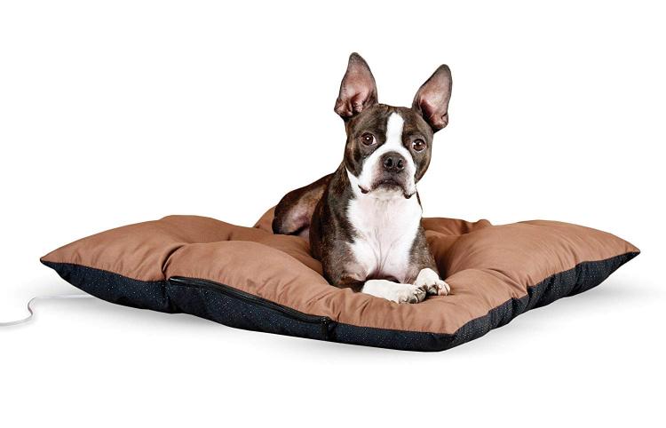 Heated Pet Beds That'll Keep Your Dogs and Cats Toasty All Winter Long