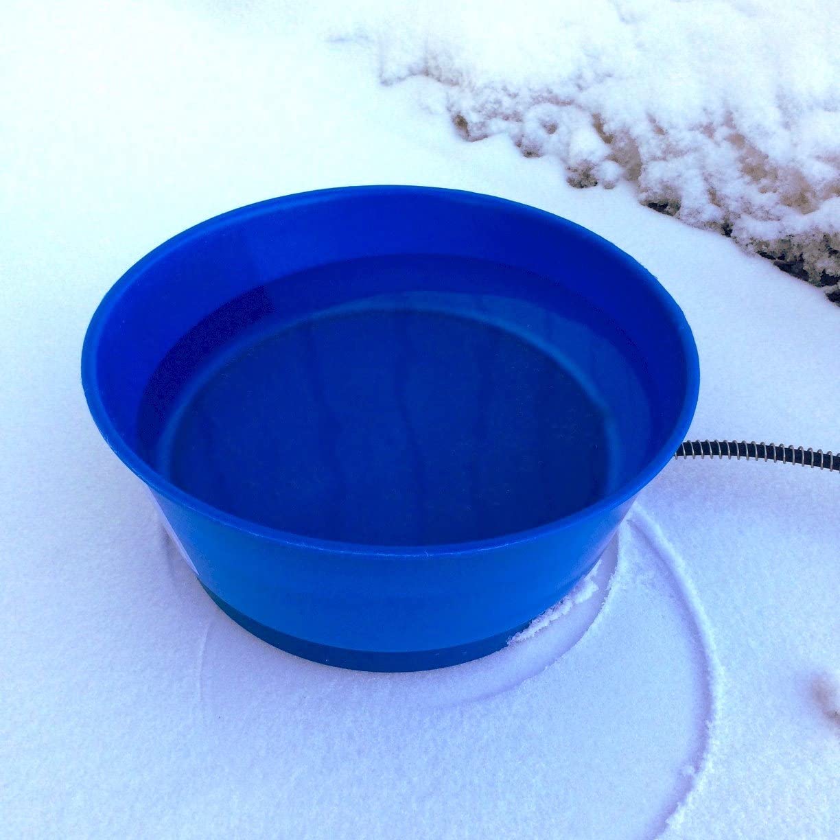 Protect Your Dog Bowl from Winter Freezing - K-9 Kraving