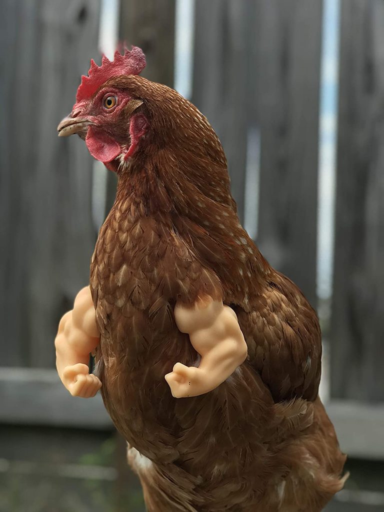 Funny fake chicken arms - Muscular chicken arms