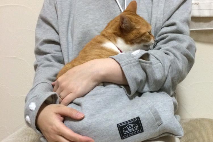 Sweatshirt to best sale hold cat